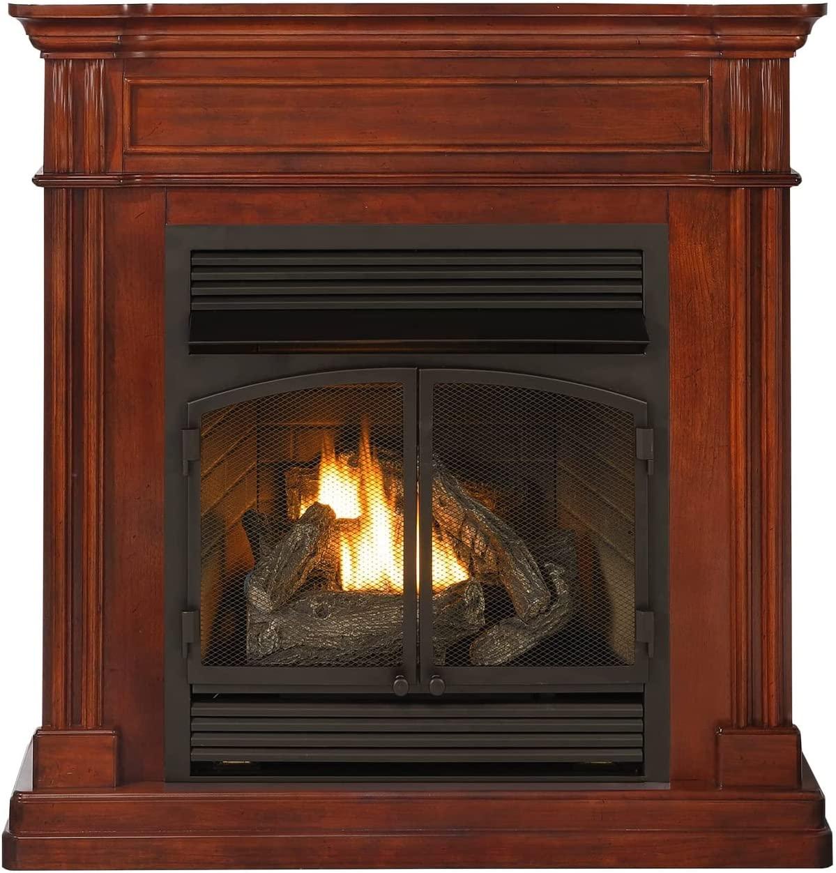 ProCom Dual Fuel Vent Gas Fireplace System - 32,000 BTU, Remote Control, Autumn Spice Finish - Model# FBNSD400RT-1AT